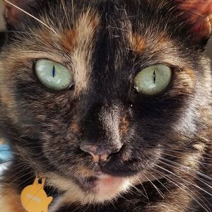 Meet your Posher, Karen